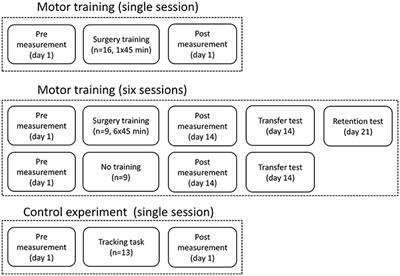 Quantification of Movement-Related EEG Correlates Associated with Motor Training: A Study on Movement-Related Cortical Potentials and Sensorimotor Rhythms